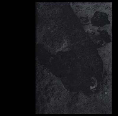 Alvarius B. - Alvarius B. download mp3 flac