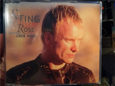Sting - Desert Rose download mp3 flac