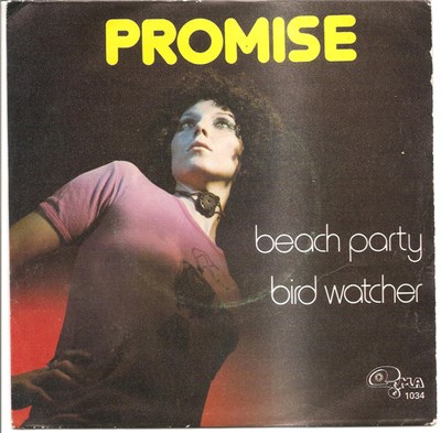 Promise - Beach Party download mp3 flac