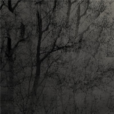 Sorry about my face - Ignis Fatuus download mp3 flac