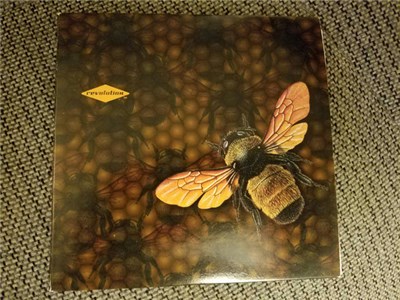 Lucky Me - Honeymoon Sea download mp3 flac