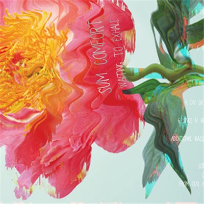 Sum Comfort - Waiting To Exhale download mp3 flac