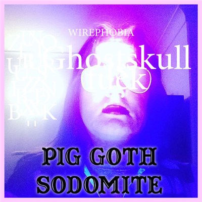 Wirephobia - Pig Goth Sodomite download mp3 flac