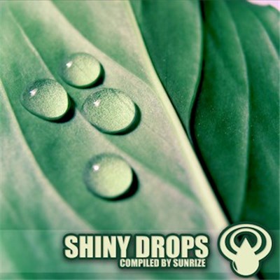 Sunrize - Shiny Drops download mp3 flac