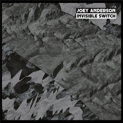 Joey Anderson - Invisible Switch download mp3 flac