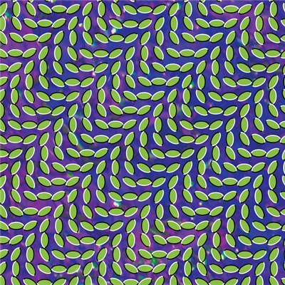 Animal Collective - Merriweather Post Pavilion download mp3 flac