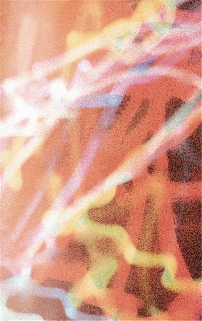 Bee Mask / Sam Goldberg - Bee Mask / Sam Goldberg download mp3 flac