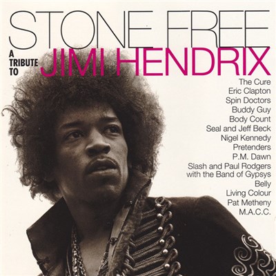 Various - Stone Free (A Tribute To Jimi Hendrix) download mp3 flac