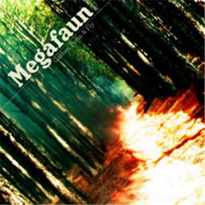 Megafaun - Gather, Form & Fly download mp3 flac