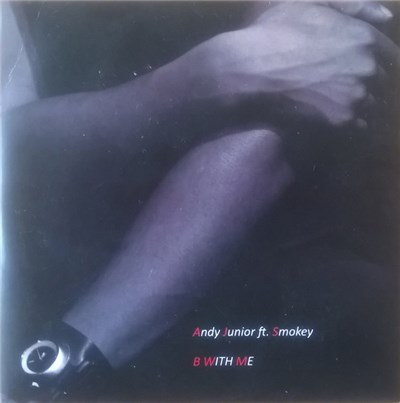 Andy Junior - B With Me download mp3 flac
