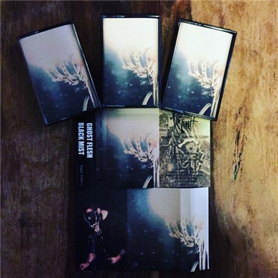 Flesh Vomit - Beyond The Spectral Light download mp3 flac