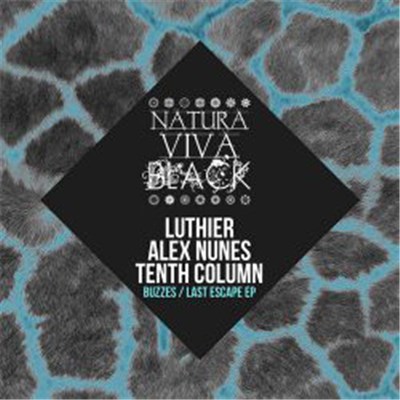 Luthier , Alex Nunes, Tenth Column - Buzzes / Last Escape EP download mp3 flac