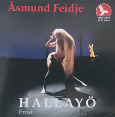 Åsmund Feidje - Hallayö download mp3 flac