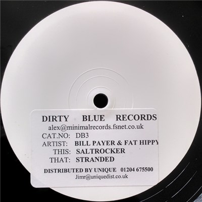 Bill Payer & Fat Hippy - Salt Rocker download mp3 flac