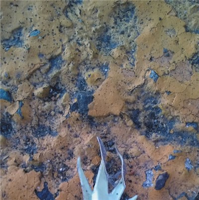 William Rage - Broke download mp3 flac