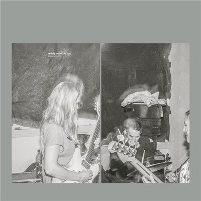 Hedvig Mollestad Trio - Smells Funny download mp3 flac