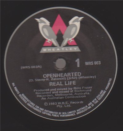 Real Life - Openhearted download mp3 flac
