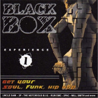 Various - Black Box Experience 1 download mp3 flac