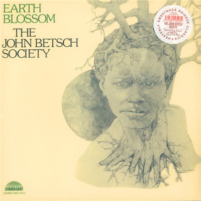 The John Betsch Society - Earth Blossom download mp3 flac
