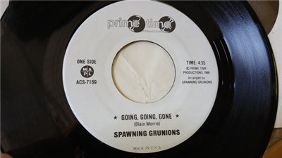 Spawning Grunions - Going, Going, Gone / If You Were On This Side download mp3 flac