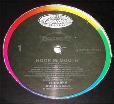 Megadeth - Hook In Mouth download mp3 flac