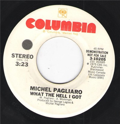 Michel Pagliaro - What The Hell I Got download mp3 flac
