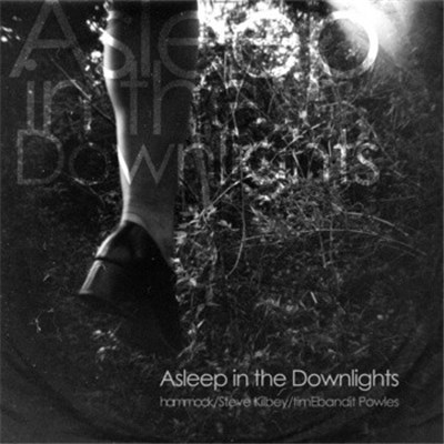 Hammock / Steve Kilbey / timEbandit Powles - Asleep In The Downlights download mp3 flac