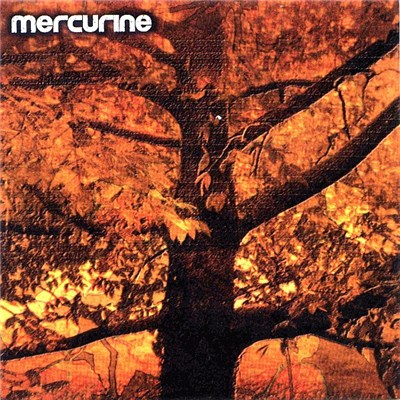 Mercurine - Waiting For Another Fall download mp3 flac