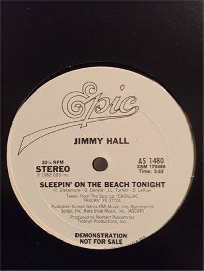 Jimmy Hall - Sleepin' On The Beach Tonight download mp3 flac