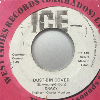 Crazy - Dust Bin Cover download mp3 flac