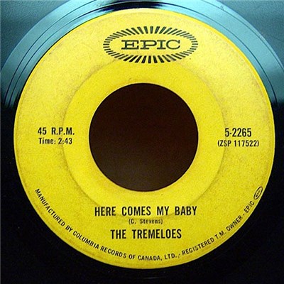 The Tremeloes - Here Comes My Baby / Silence Is Golden download mp3 flac