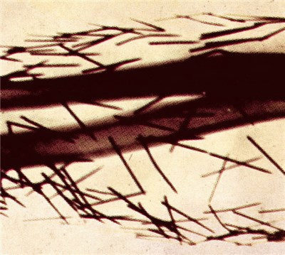 A Far-Off Reason - Tusen Nåler download mp3 flac
