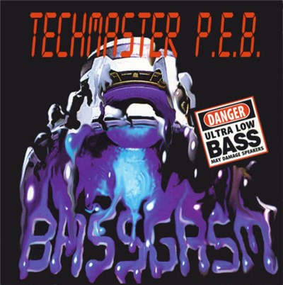 Techmaster P.E.B. - Bassgasm download mp3 flac