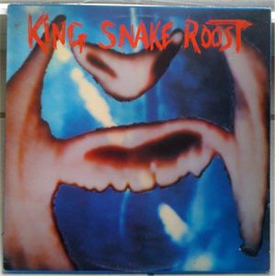 King Snake Roost - Things That Play Themselves download mp3 flac