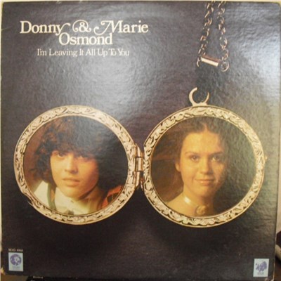 Donny & Marie Osmond - I'm Leaving It All Up To You download mp3 flac