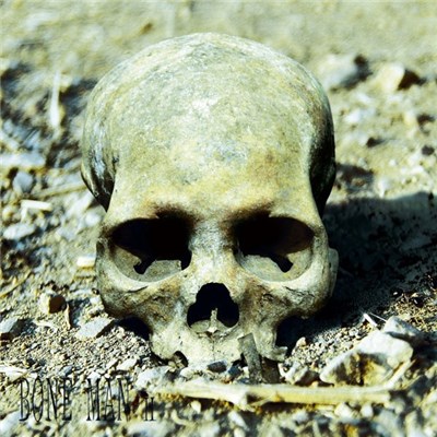 Bone Man - II download mp3 flac