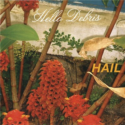Hail - Hello Debris download mp3 flac