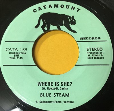 Blue Steam - Where Is She? download mp3 flac