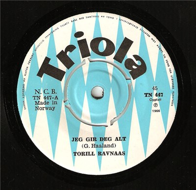 Torill Ravnaas - Jeg Gir Deg Alt download mp3 flac