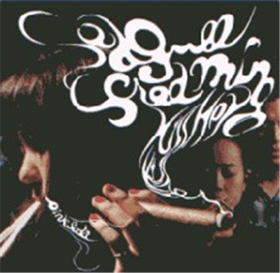 Seagull Screaming Kiss Her Kiss Her - Pink Soda download mp3 flac