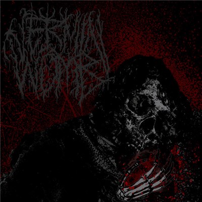 Vermin Womb - Decline download mp3 flac