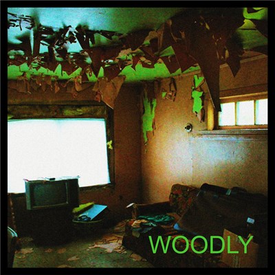 Woodly - woodly download mp3 flac