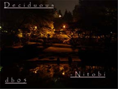 Deciduous - Nitobi download mp3 flac