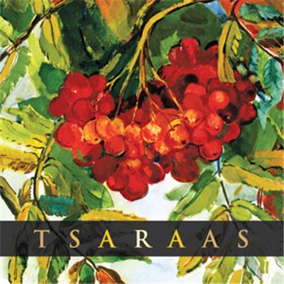 Tsaraas - Рябина download mp3 flac