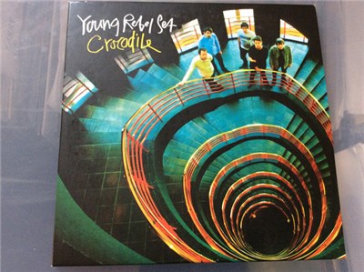 Young Rebel Set - Crocodile download mp3 flac