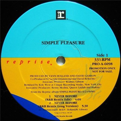 Simple Pleasure - Never Before download mp3 flac