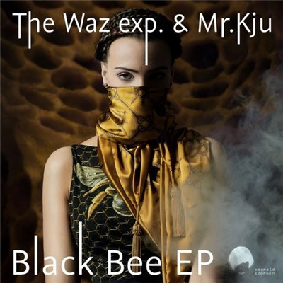 The Waz Exp & Mr Kju - Black Bee download mp3 flac