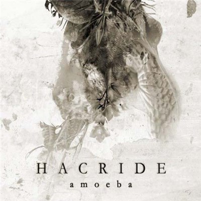 Hacride - Amoeba download mp3 flac