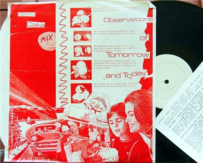 Orange Cake Mix - Observations Of Tomorrow And Today download mp3 flac