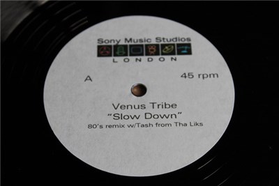 Venus Tribe - Slow Down download mp3 flac